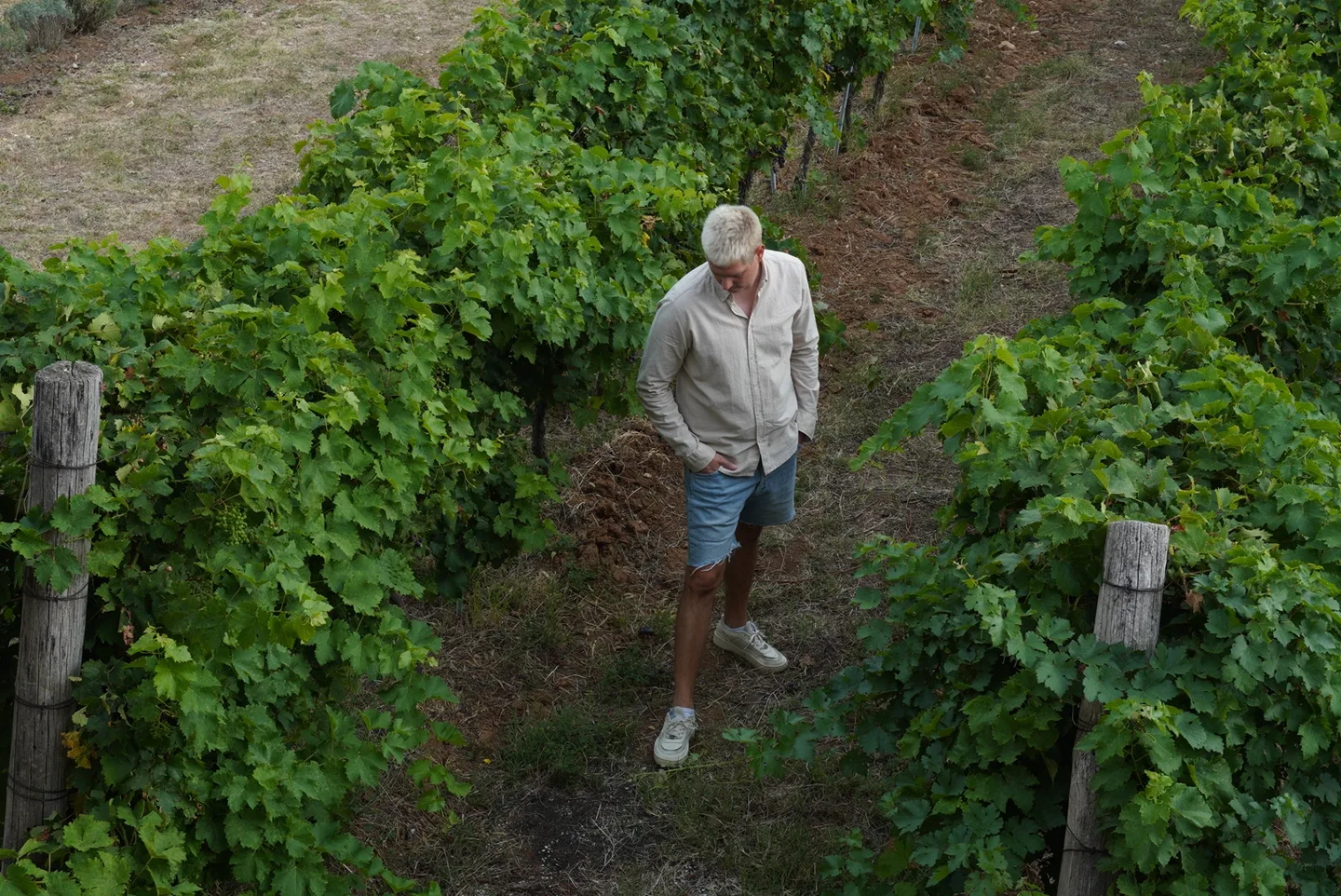 NATIV košulja od prirodnog materijala u vinogradu